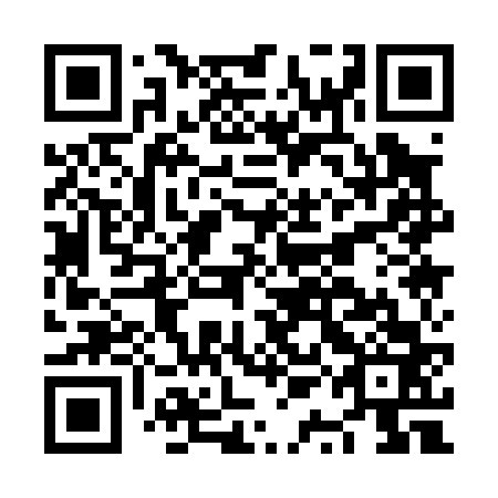 QR code for plate NQA 063