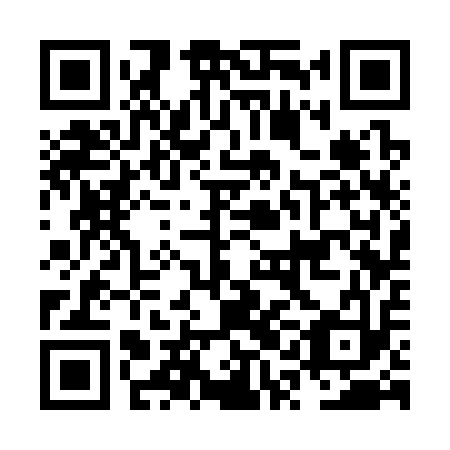 QR code for NQC313
