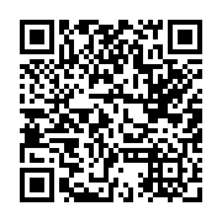 QR code for NQE 309