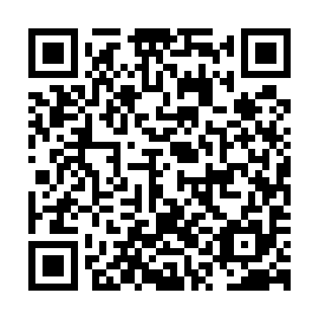 QR code for NQE 595