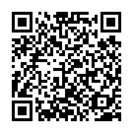 QR code for plate NQE 619