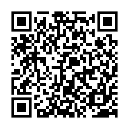 QR code for NQG 317
