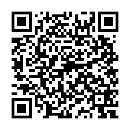 QR code for plate NQG 768