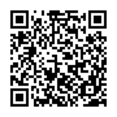 QR code for NQI 256