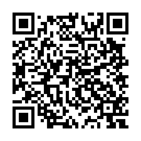 QR code for plate NQJ 013