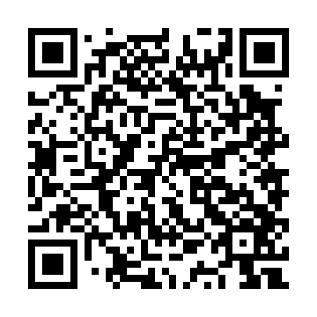 QR code for plate NQN 046