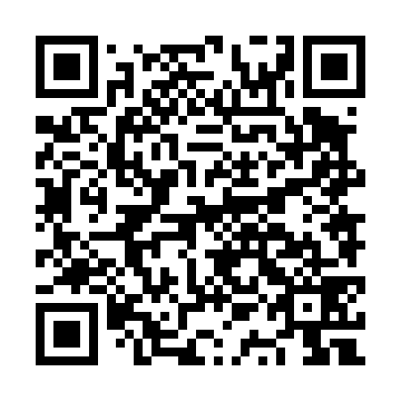 QR code for plate NQN 479