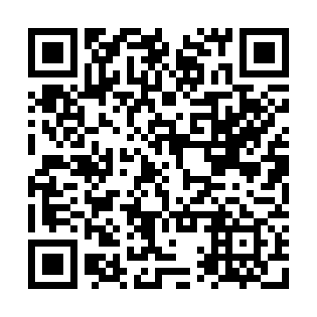QR code for NQP379