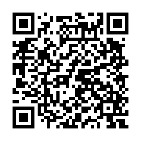 QR code for plate NQP 445