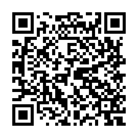QR code for NQQ 953