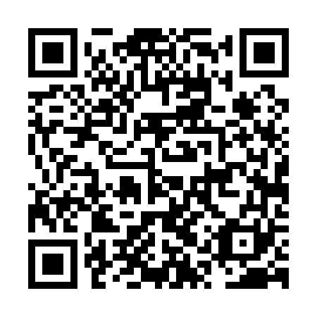 QR code for plate NQT 161