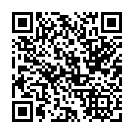 QR code for plate NR 0333