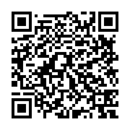 QR code for plate NR 3838
