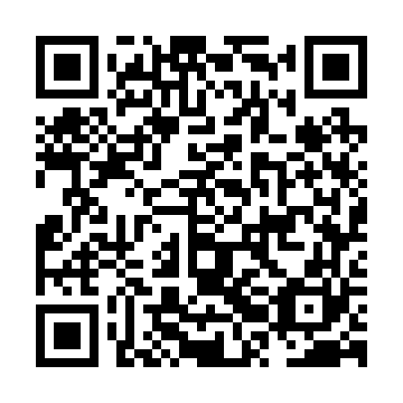 QR code for plate NRG 260