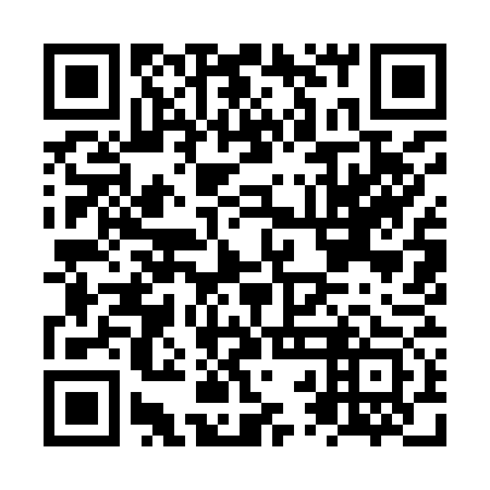 QR code for plate NRI 973
