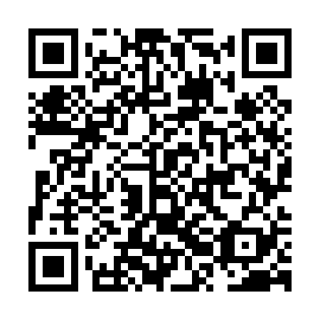 QR code for plate NRO 029