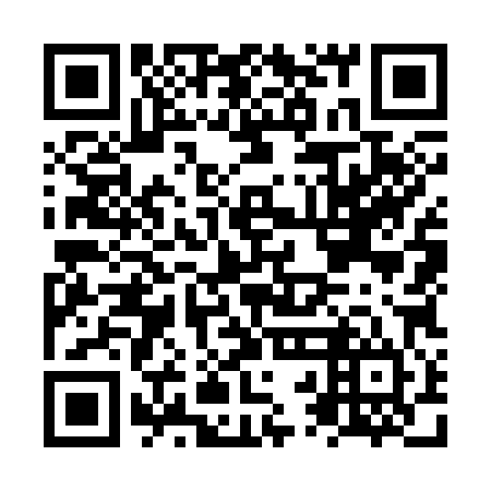 QR code for NRO384