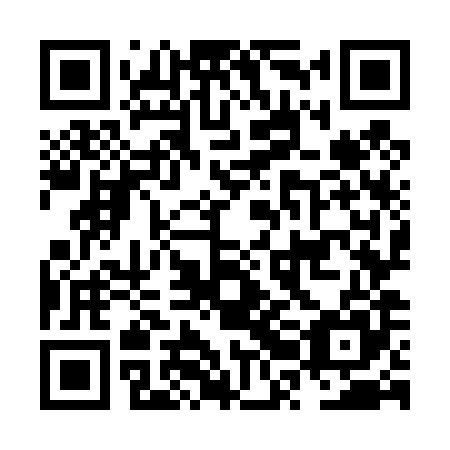 QR code for plate NRO 485