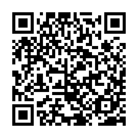 QR code for NS 2900