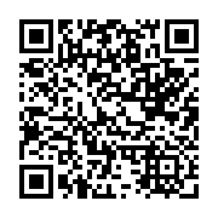 QR code for NS0433