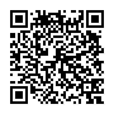 QR code for NS0438