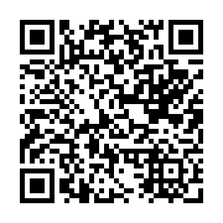 QR code for NS0461