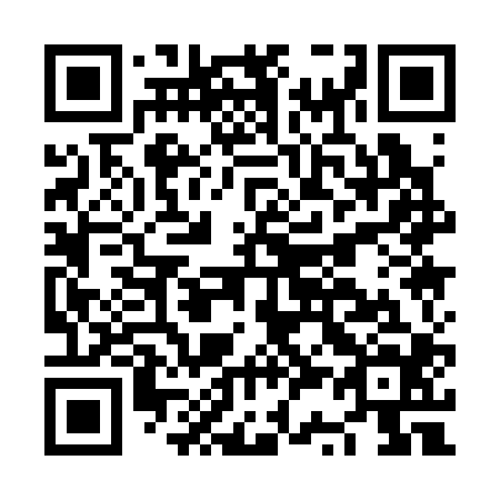 QR code for NS1304