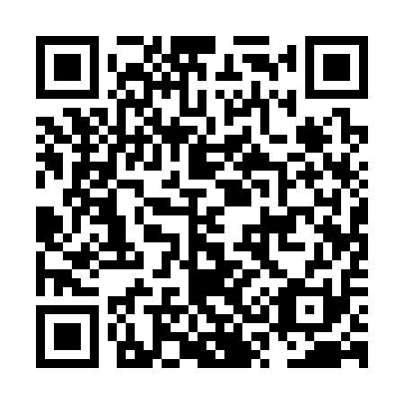 QR code for NS1311