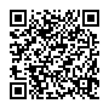 QR code for NS1384