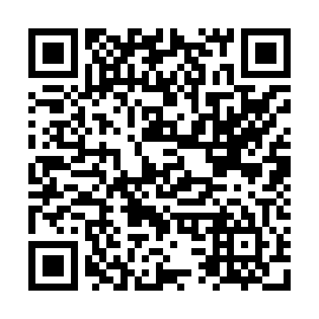 QR code for plate NS 3805