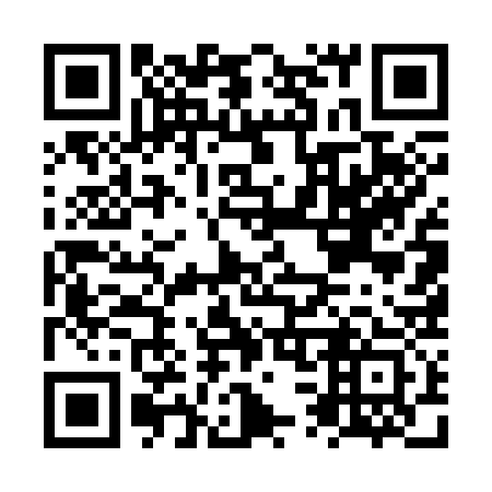QR code for plate NS 5333
