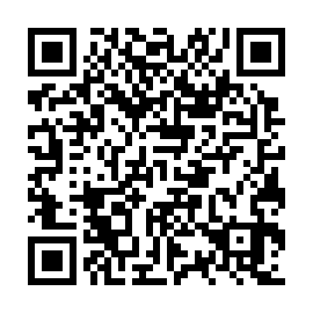 QR code for NS7333