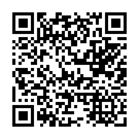 QR code for NS9666