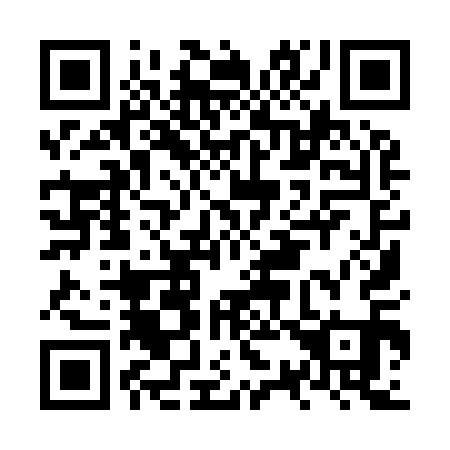 QR code for NS9911
