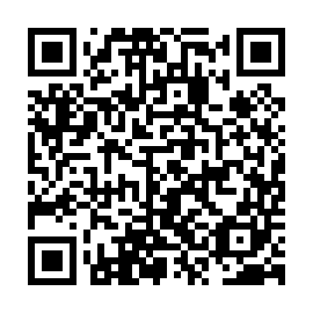 QR code for plate NSA 040