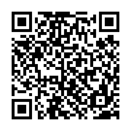 QR code for plate NSA 636
