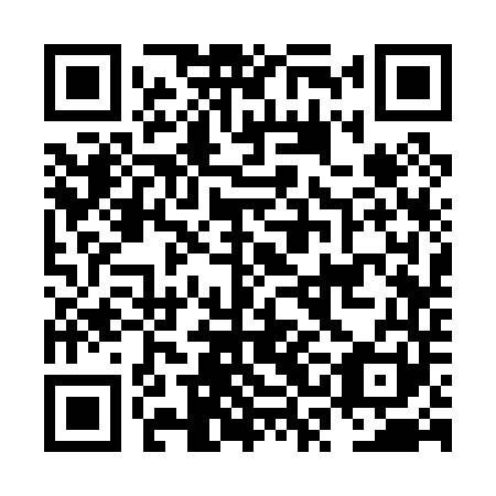 QR code for plate NSC 041