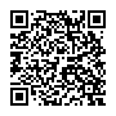 QR code for plate NSC 306