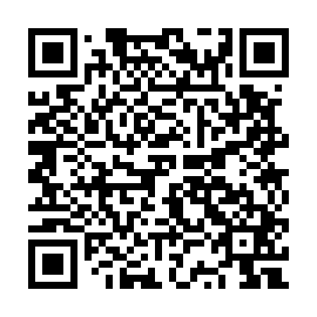 QR code for plate NSC 541