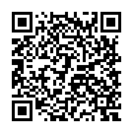 QR code for plate NSD 953