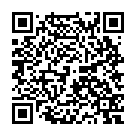 QR code for NSE 333