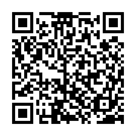 QR code for plate NSE 573