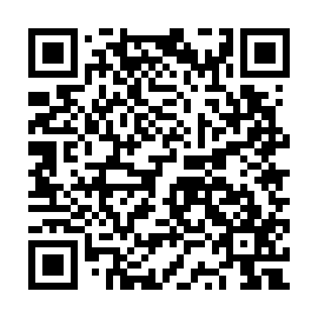 QR code for plate NSE 717