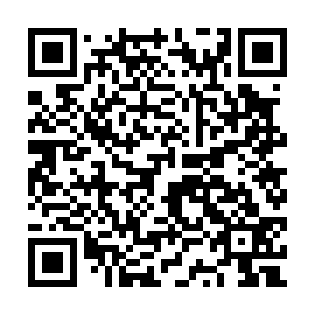 QR code for plate NSG 033