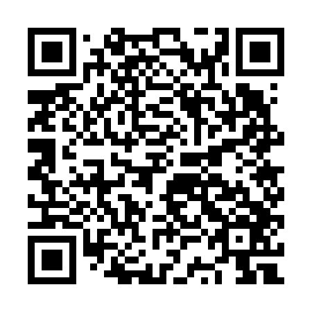 QR code for plate NSG 646