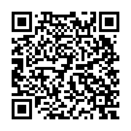 QR code for plate NSG 666