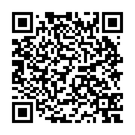QR code for NSI 234