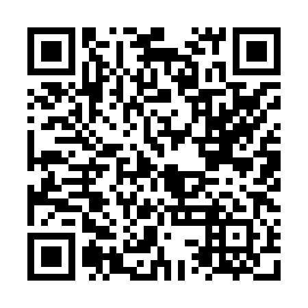 QR code for plate NSI 881