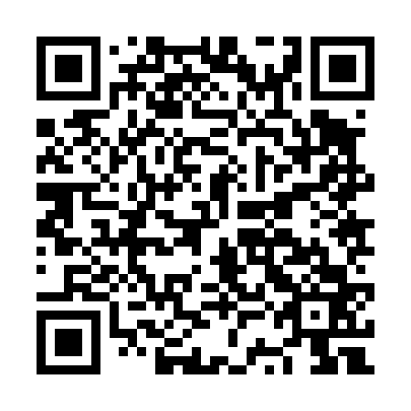 QR code for NSJ 463