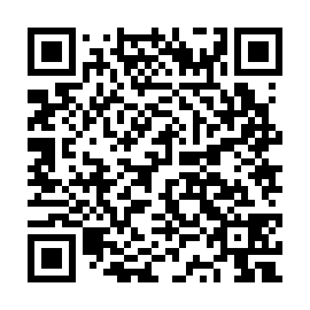 QR code for NSJ338